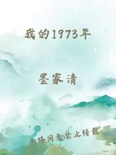 我的1973年