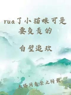 rua了小猫咪可是要负责的