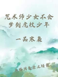 咒术师少女不会梦到虎杖少年