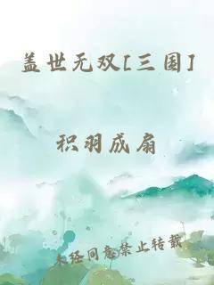 盖世无双[三国]