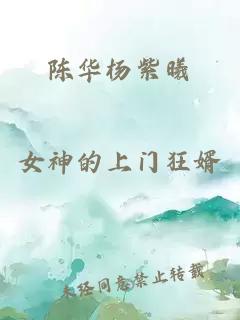 陈华杨紫曦