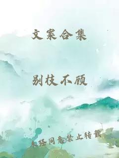 文案合集