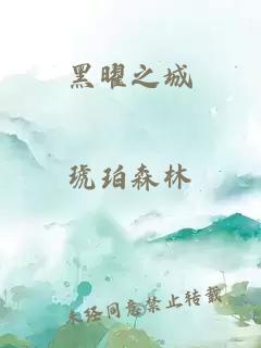 黑曜之城