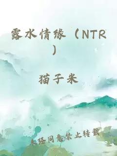 露水情缘（NTR）