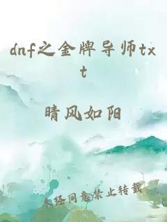 dnf之金牌导师txt