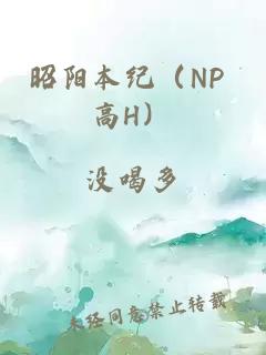 昭阳本纪（NP 高H）