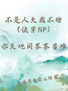 不是人夫我不睡（快穿NP）